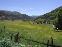 North of Stoner