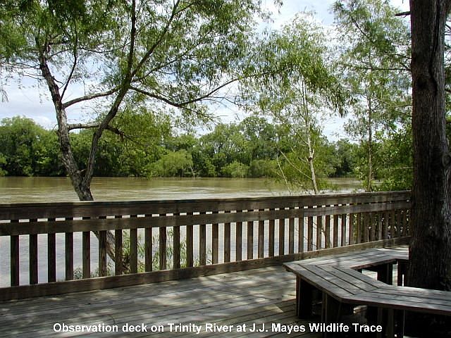 Trinity River from J.J. Mayes Wildlife Trace